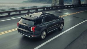 Your Guide to the 2020 Hyundai Palisade 